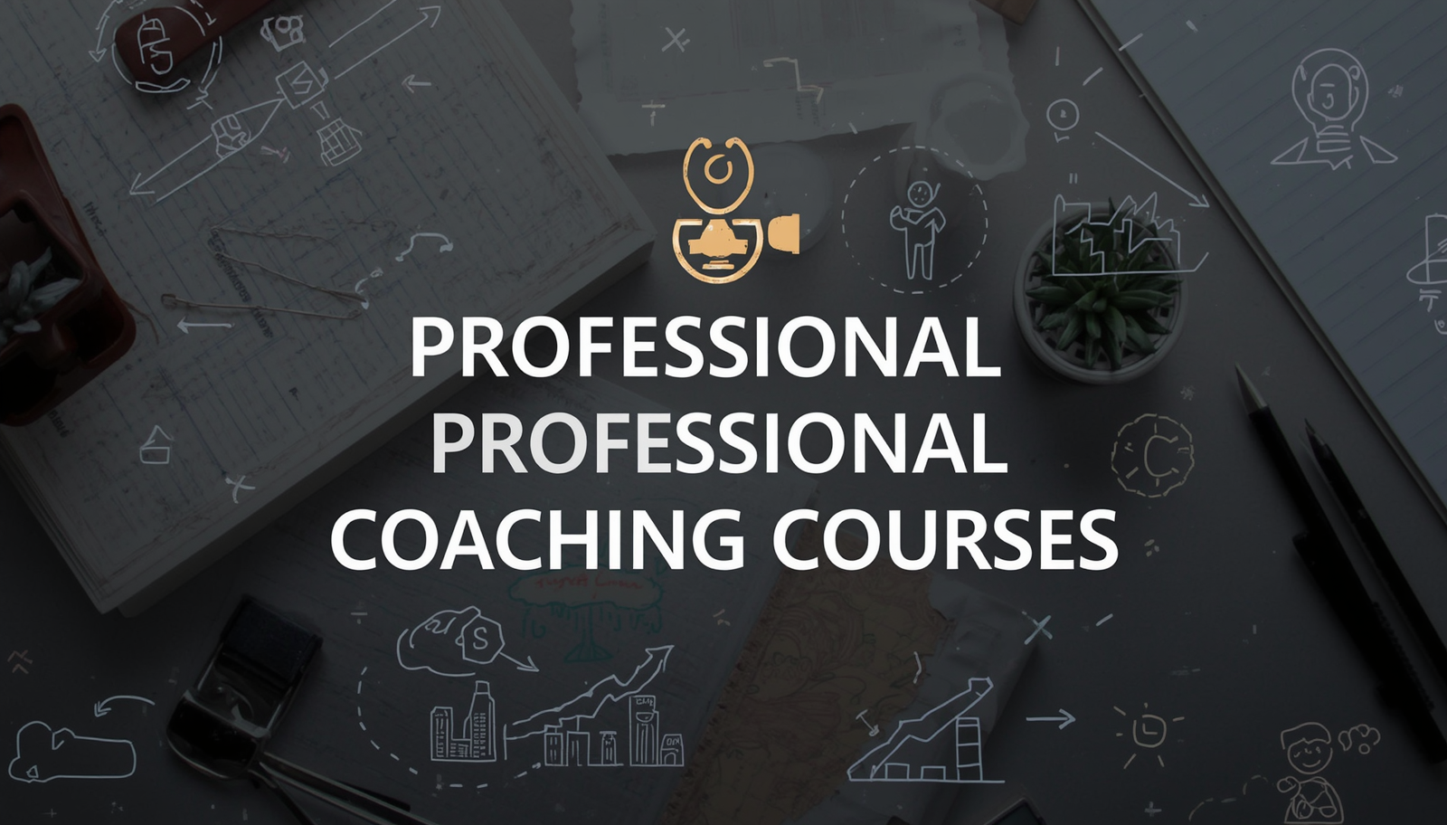 Professional Coaching